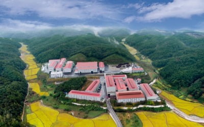 대창솔루션, 2분기 매출액 146억 원으로 전년比 4% 증가
