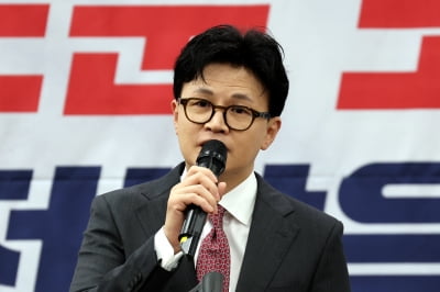 한동훈 한 표 누구에게 줬을까…안철수냐 조경태냐 [정치 인사이드]