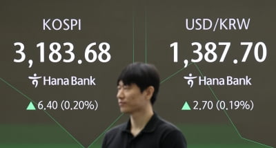 상승 출발 뒤 반락한 코스피, 3160선 후퇴
