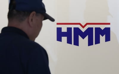 "HMM, 매수 실익 없다…대주주가 가장 큰 수혜"-대신