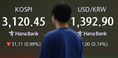 코스피, 장 초반 2%대로 낙폭 확대…시총 상위주 일제히 '파란불'