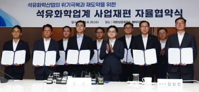 정부 구조조정 지원 방침에 석유화학주 동반 강세