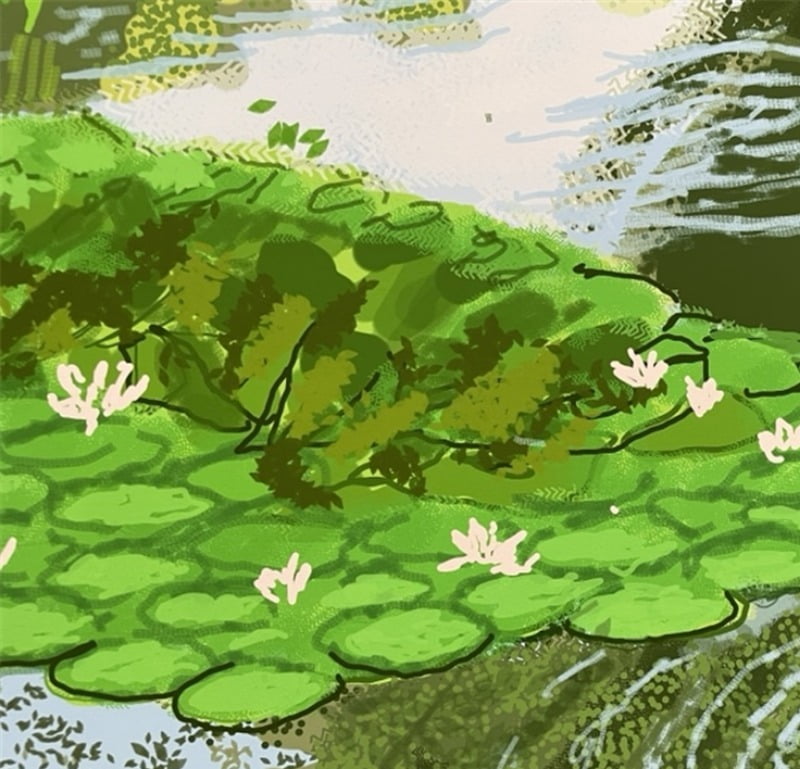 데이비드 호크니, Water Lilies (Nympheas), 〈The Arrival of Spring, Normandy, 2020〉시리즈, 2020. 아이패드 드로잉