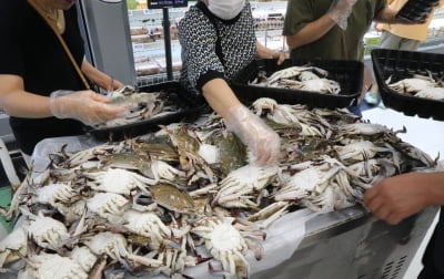 이마트서 꽃게 사고 5만원 냈는데…영수증 보고 '깜짝'