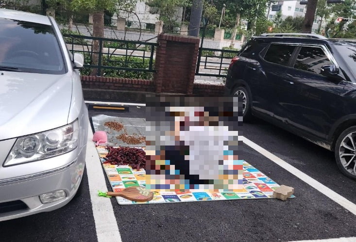 출처=온라인커뮤니티 '보배드림'