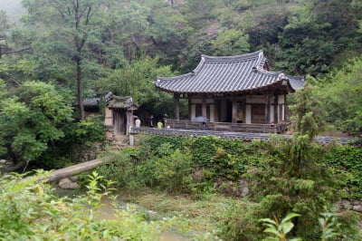 홀로 우뚝 선 나무처럼…당신의 마음 속 소박한 망대 하나쯤을