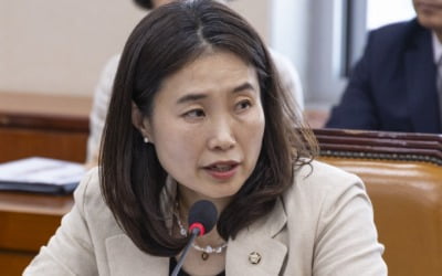 野 김소희 "오버투어리즘 피해 방지해야"…관광진흥법 개정안 발의