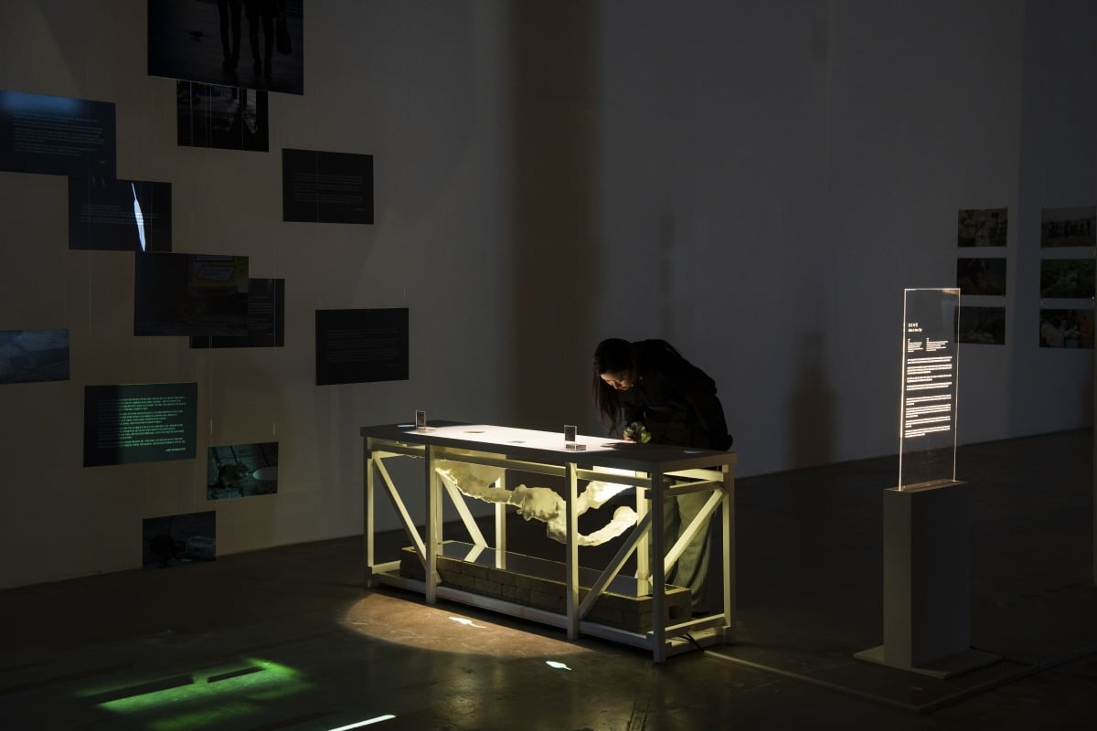 DLX 디자인 랩 x 수의행동학 연구소(도쿄대학교)(DLX Design Lab X Veterinary Ethology Lab), 도시 속 쥐(Rats in the City) (2025) /광주디자인비엔날레