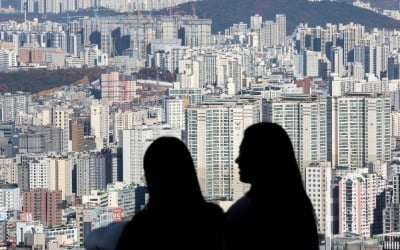퇴직연금 깨서 '내집 마련'…아직 부동산 올인하는 韓