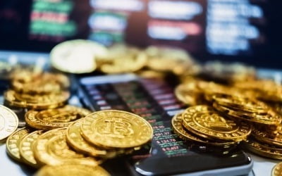암호화폐에 문 연 美 퇴직연금…韓은 '안전자산 30%룰'에 막혀