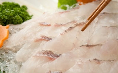 '우럭' 즐겨 먹었는데 어쩌나…초유의 상황에 어민들 '초비상'