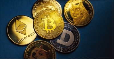 '물들어올 때 노젓기'…코인거래소 불리시 상장가 15%높여