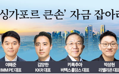 '싱가포르 큰손' 자금 잡아라