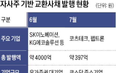 대기업 "자사주 쓰기 겁나"…교환사채 발행 자취 감췄다
