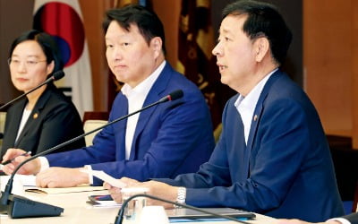 [포토] “CEO 형사처벌 리스크 완화”