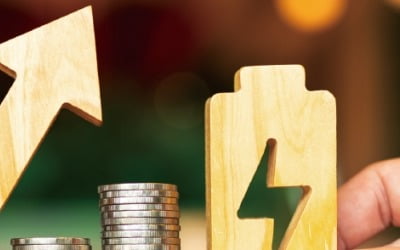'부활의 2차전지' 줄줄이 주가 급등…ETF도 수익률 큰 폭 상승