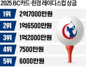 "진짜 경쟁은 이제부터"…올 상금왕 경쟁 최대 분수령 포천힐스
