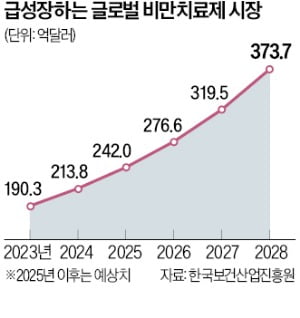 비만치료제 시장 급성장…'마운자로' vs '위고비' 양강구도