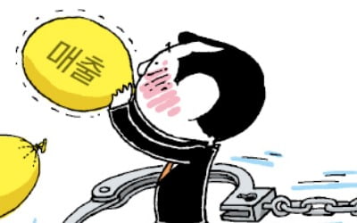 92억 허위 세금계산서로 매출 뻥튀기…정부 지원 받던 스타트업 대표 '쇠고랑'