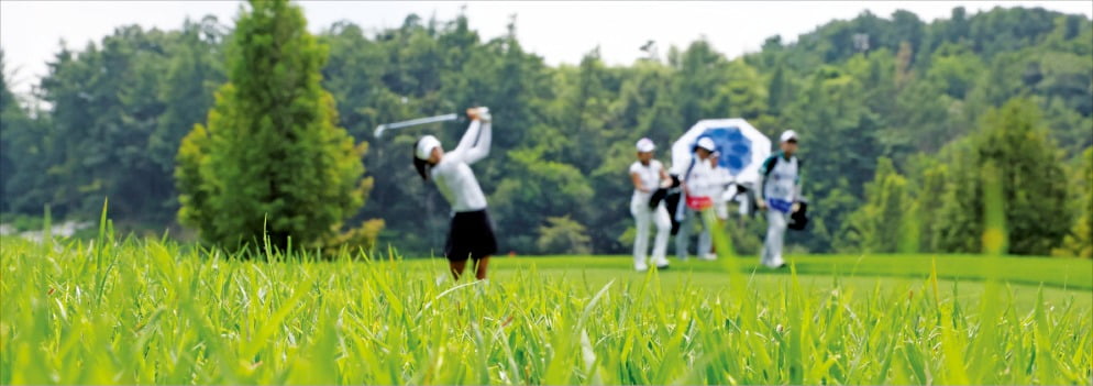 21일 한국여자프로골프(KLPGA)투어 BC카드·한경 레이디스컵 1라운드에서 선수들이 경기하는 모습. 이번 대회가 열린 포천힐스CC는 완벽한 잔디 컨디션으로 선수들의 찬사를 받았다. /포천=김범준 기자