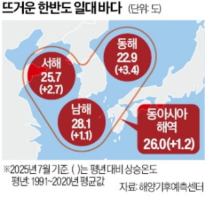 뜨거운 바다…죽방멸치 안잡히고 그물엔 온통 해파리