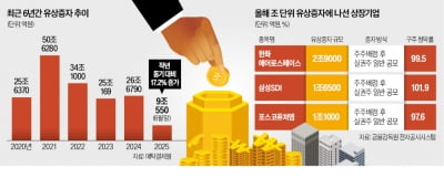 상승장 덕에…兆단위 유상증자 종목 결국 '방긋'