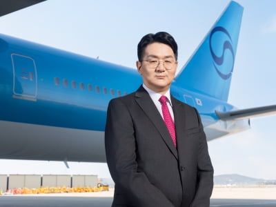 조원태 한진그룹 회장, 상반기 보수 92억2400만원