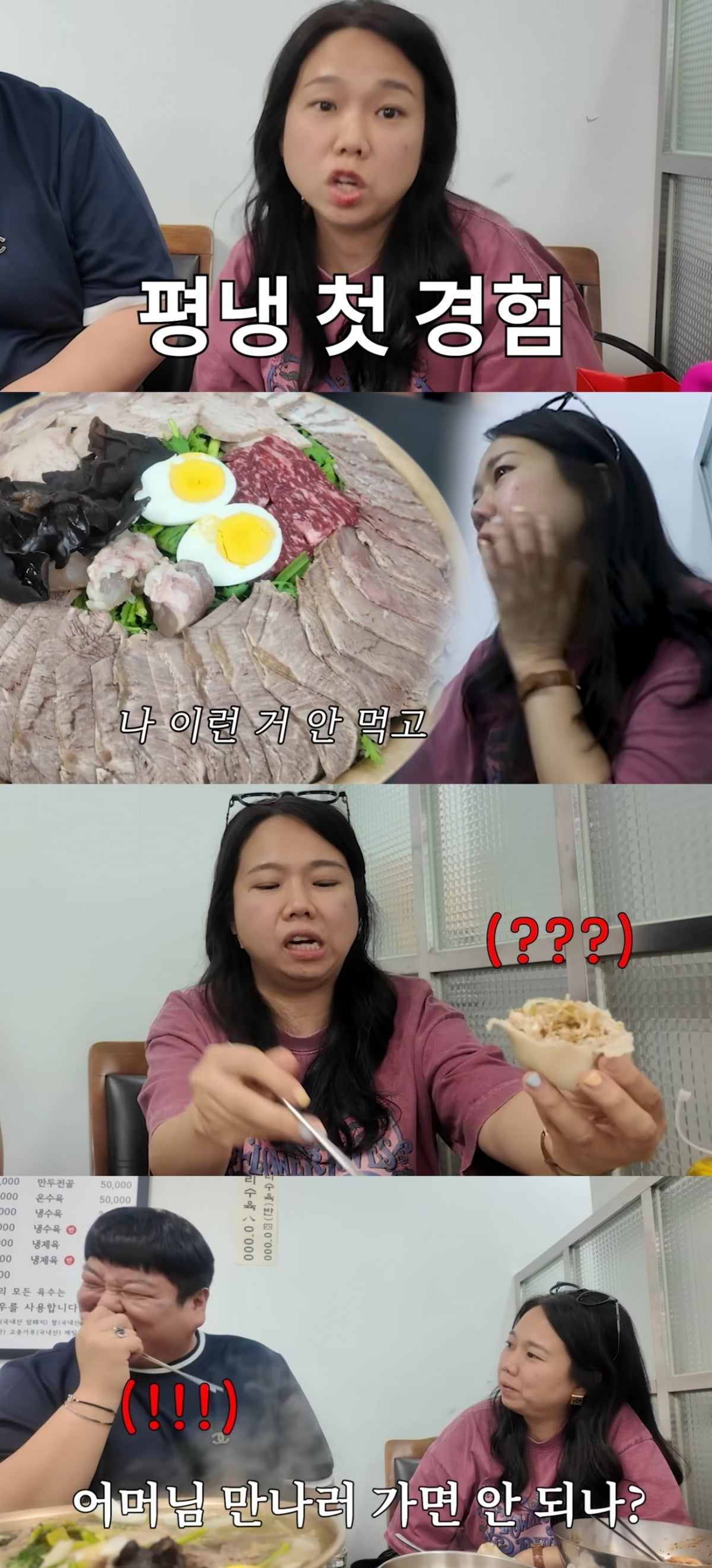 Hong Hyun-hee's First Taste of Pyongyang Cold Noodles: A Culinary Adventure