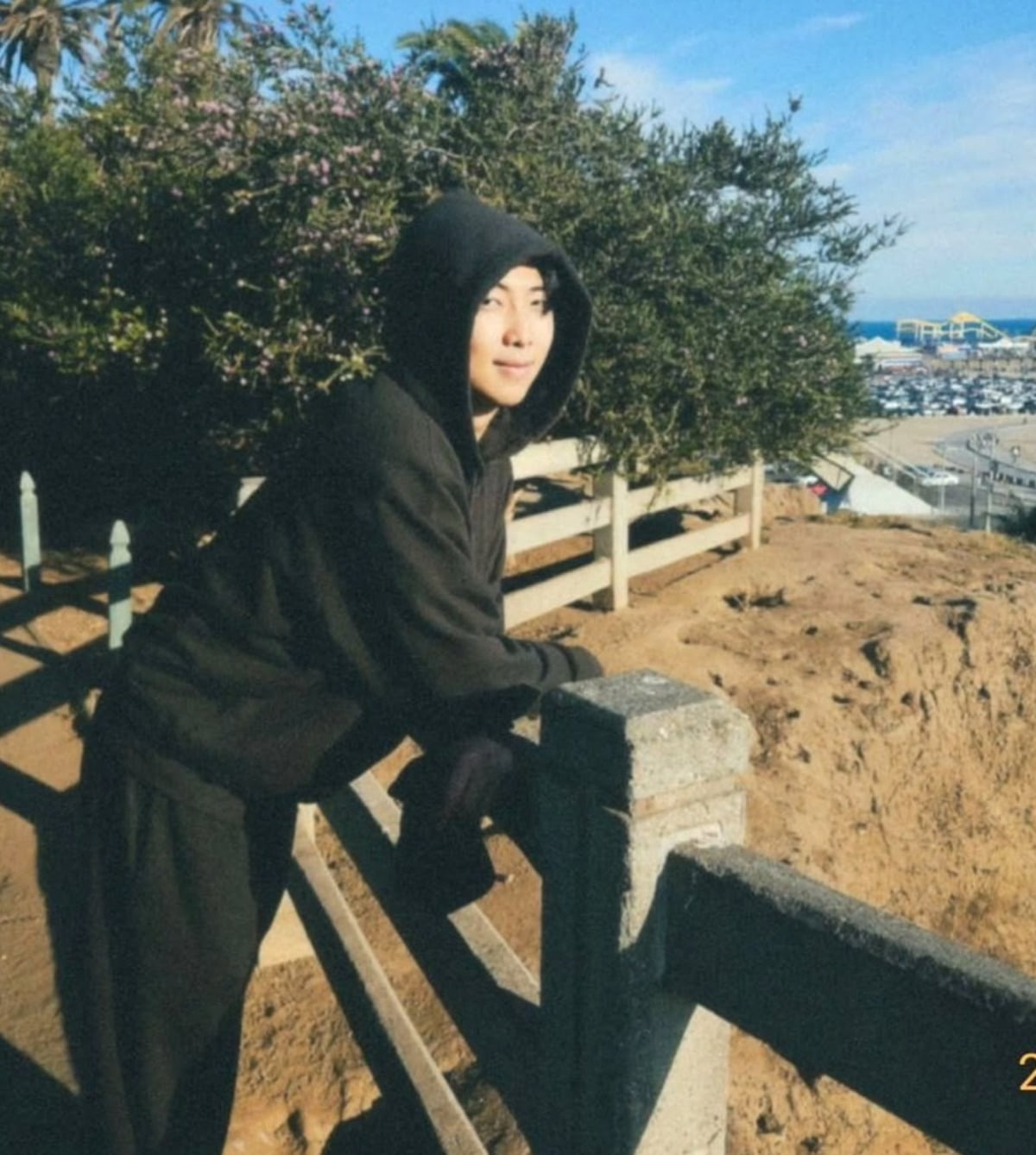 BTS's RM Captivates Fans with Intimate Instagram Photos and Real Estate News