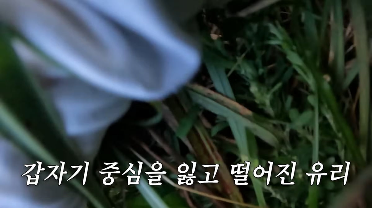 Girls' Generation's Yuri Smiles Through Horseback Riding Mishap in Jeju