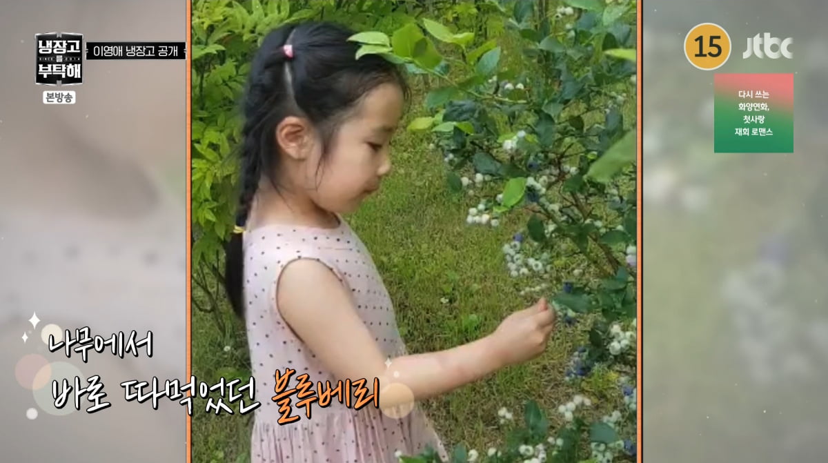 Lee Young-ae Shares Updates on Her Twins and Life on 'Please Take Care of My Refrigerator'