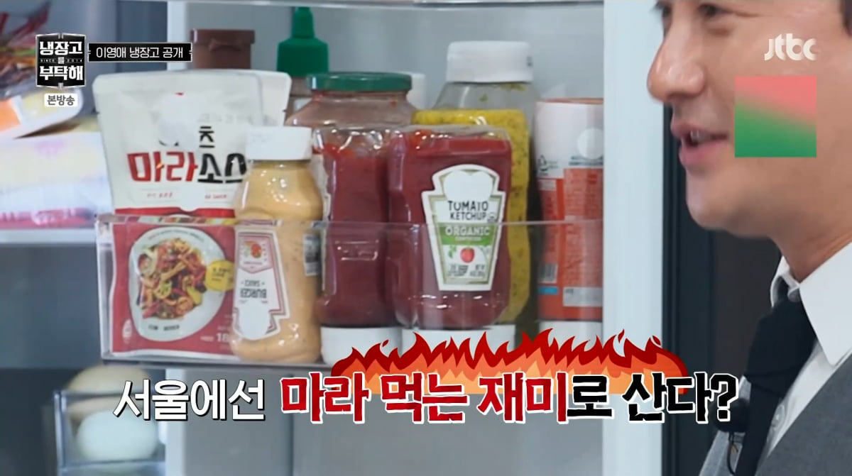 Lee Young-ae Shares Updates on Her Twins and Life on 'Please Take Care of My Refrigerator'