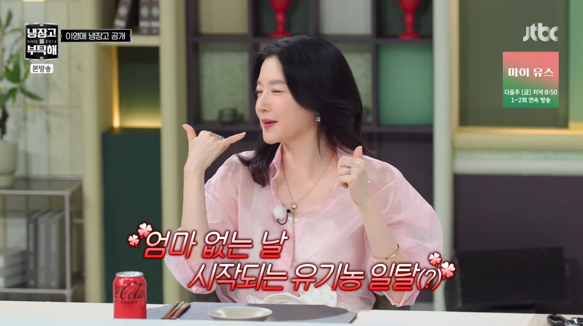 Lee Young-ae Shares Updates on Her Twins and Life on 'Please Take Care of My Refrigerator'