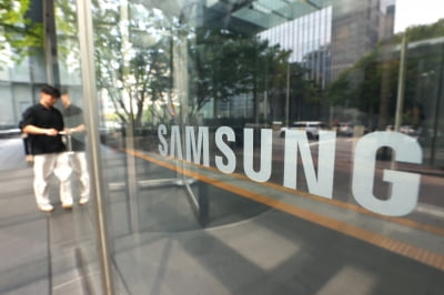 '테슬라 이어 애플까지' 호재 터졌다…삼전 개미들 '환호'