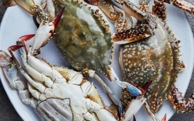 쿠팡도 '햇꽃게 대전'에 참전…100g당 760원 이마트와 같아