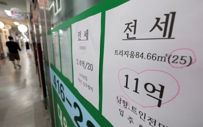 국토부 "전세사기 예방하는 3·3·3법칙 챙기세요"