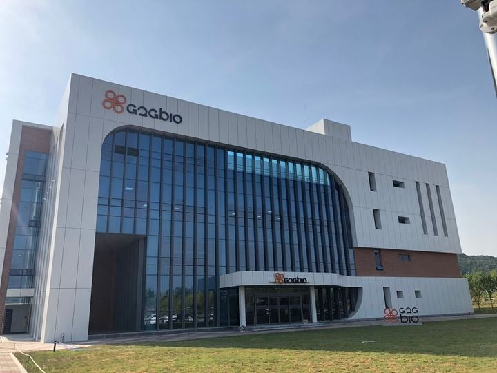 기술이전으로 이어질까…지투지바이오, 공동연구 계약에 '급등'