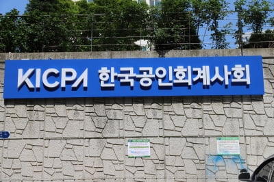한국공인회계사회 "어린이집 회계감사 추가 부담 없을 것"