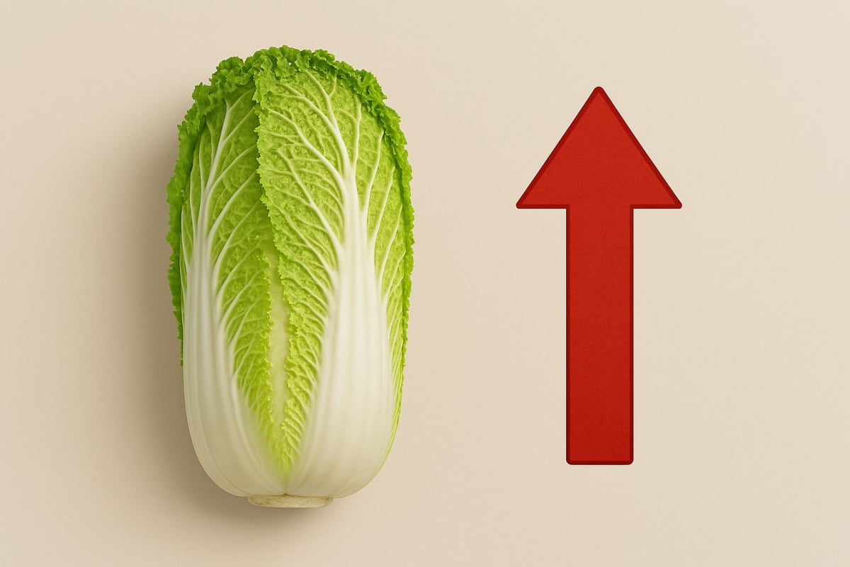 작년에 얼마나 비쌌던 거야…팍팍 올라도 1년 전보다 싼 '이것'