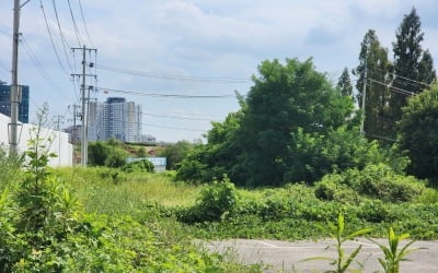 "초역세권 땅이 '흉물' 됐다"…신도시 주민들 '한숨' [돈앤톡]