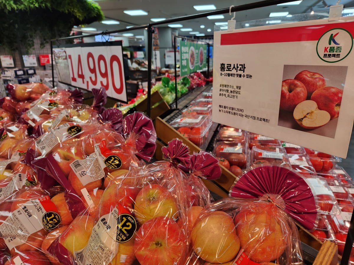 '붉은 이슬'로 불리는 이 사과, 이달 중순에 풀린다