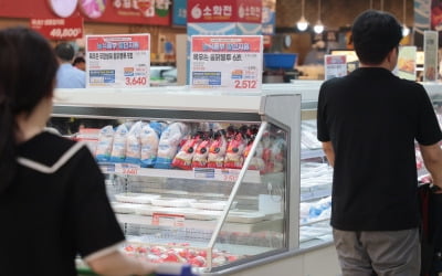"비도 쏟아지는데 뭐하러 나왔어?" "이게 제 일이니까요"…'세계유일' KAMIS 이모저모 [이광식의 한입물가]