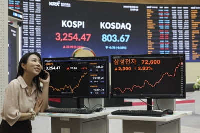 "검토하겠다" 이재명 대통령 한마디에…하루 만에 '급등'