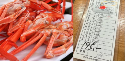 "24만원인데 36만원 결제하려고"…속초 대게집 바가지 논란