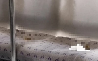 "지하철 못 타겠네"…7호선 의자서 발견된 게 '충격'