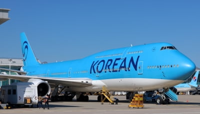한국인 대량 추방하더니…미국 여행산업 ‘역풍’ 맞았다