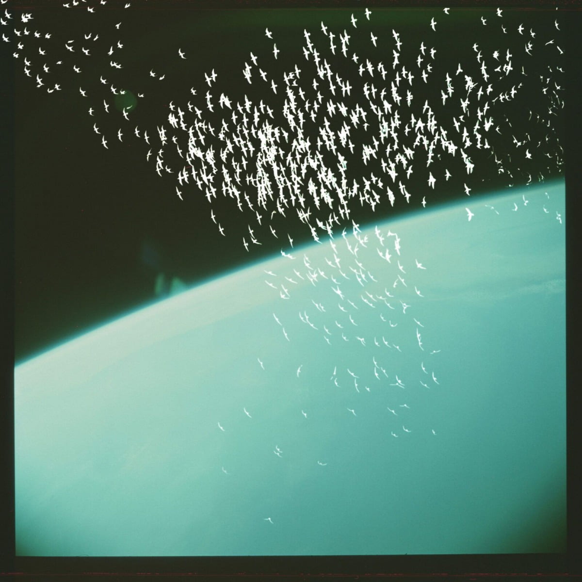 아그니에슈카 폴스카, Birds in Space, 2024. /대구 사진 비엔날레 제공
