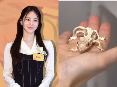 한지은, 반려 도마뱀 '기아 상태' 의혹에 "건강해" 해명