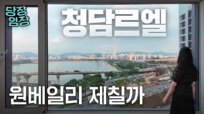 "원베일리 제칠까?" 요즘 호가 150억이라는 청담동 아파트 당장! 임장