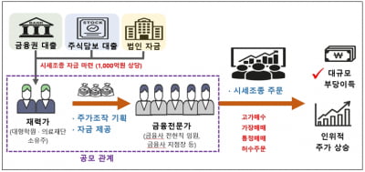 '엘리트그룹'이 400억 챙겼다…합동대응단, 주가조작 1호 적발